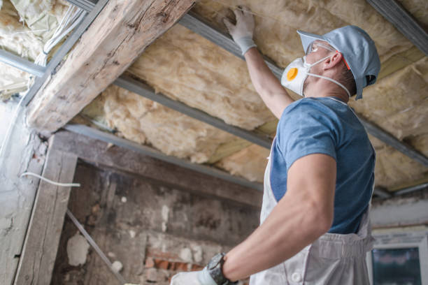 Best Insulation for New Construction  in Trucksville, PA