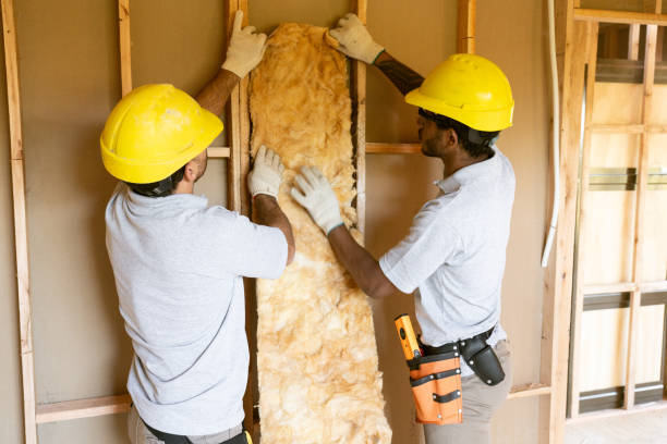 Best Insulation Inspection Services  in Trucksville, PA