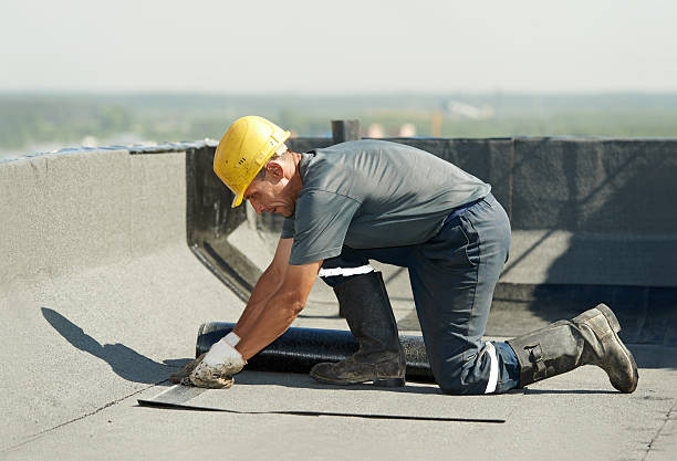 Best Insulation Replacement Services  in Trucksville, PA
